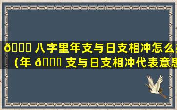 🐟 八字里年支与日支相冲怎么办（年 🐎 支与日支相冲代表意思是）